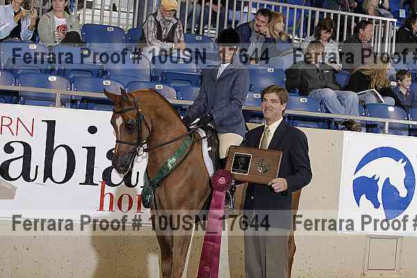 Proof Number 10usn_17644