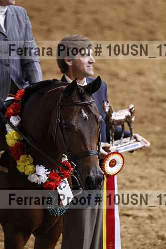Proof Number 10usn_17663