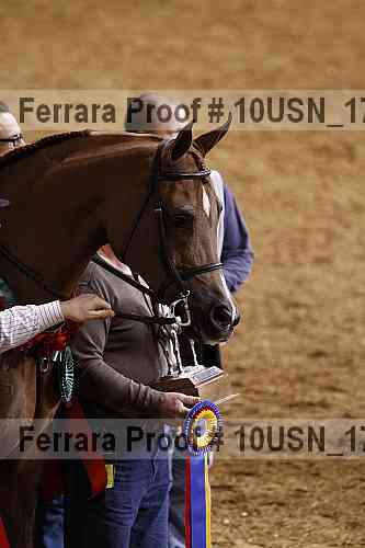 Proof Number 10usn_17693
