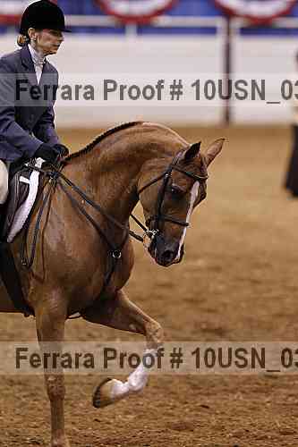 Proof Number 10usn_03605