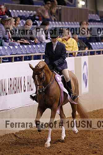 Proof Number 10usn_03633