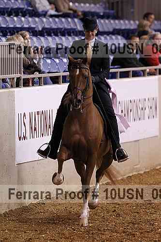 Proof Number 10usn_08531