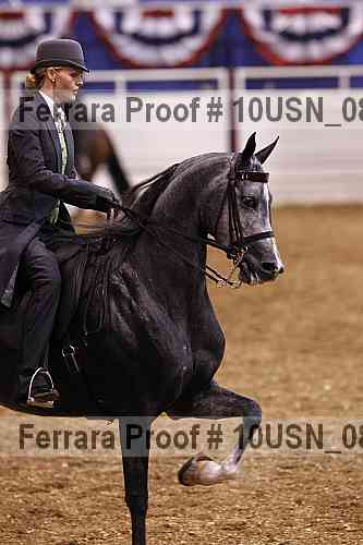 Proof Number 10usn_08558