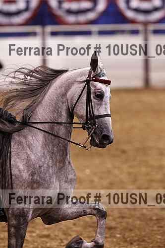 Proof Number 10usn_08562