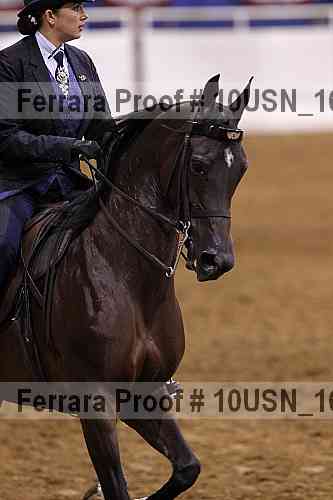 Proof Number 10usn_16524