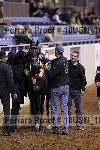 Proof Number 10usn_16624