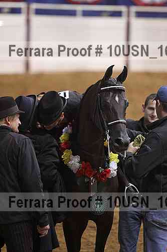 Proof Number 10usn_16635