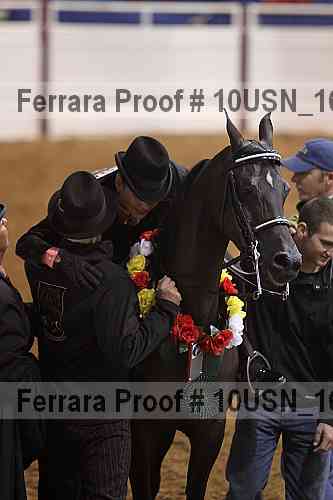 Proof Number 10usn_16639