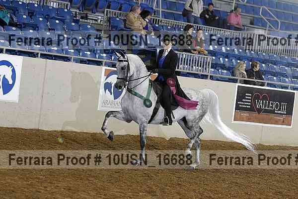 Proof Number 10usn_16688