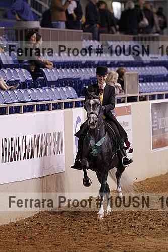 Proof Number 10usn_16693
