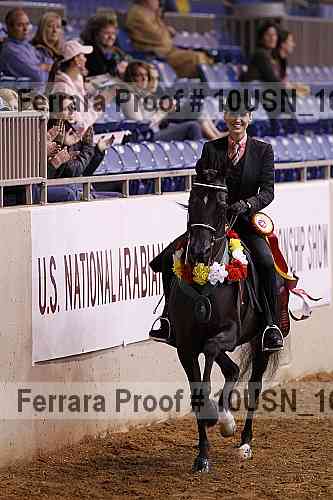 Proof Number 10usn_16703