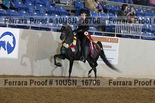 Proof Number 10usn_16706