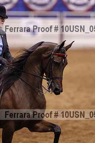 Proof Number 10usn_05140