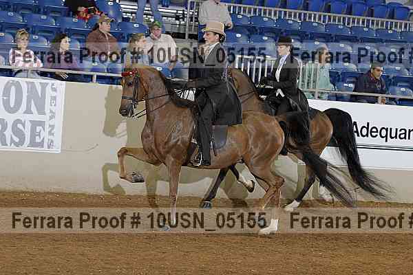 Proof Number 10usn_05155