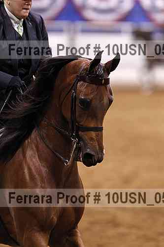 Proof Number 10usn_05202