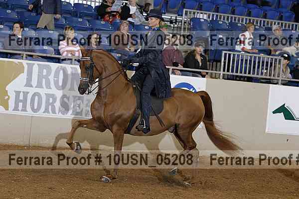 Proof Number 10usn_05208