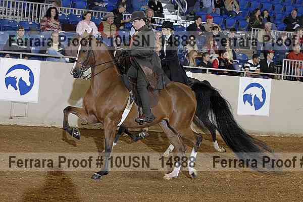 Proof Number 10usn_14888
