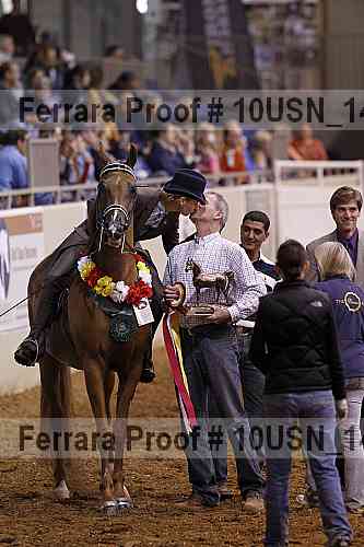 Proof Number 10usn_14915