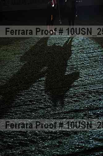 Proof Number 10usn_25079