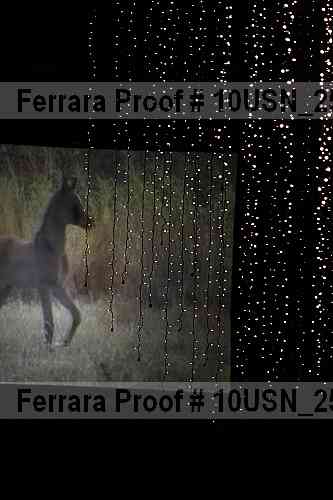 Proof Number 10usn_25872