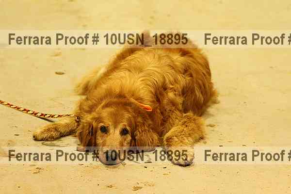 Proof Number 10usn_18895