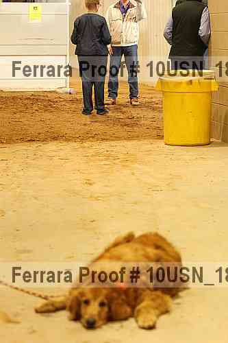 Proof Number 10usn_18896