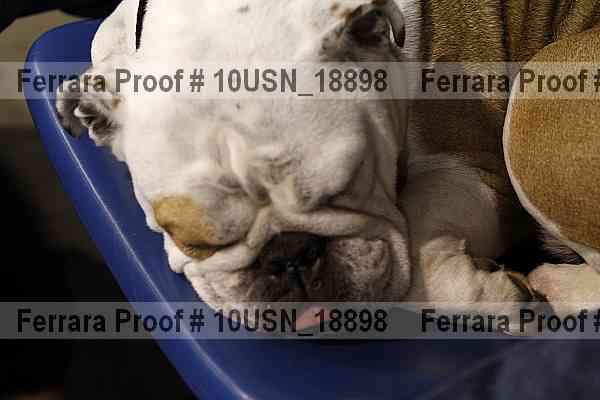 Proof Number 10usn_18898