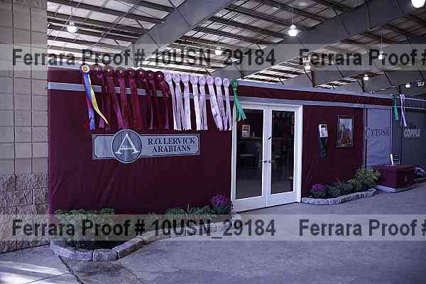 Proof Number 10usn_29184