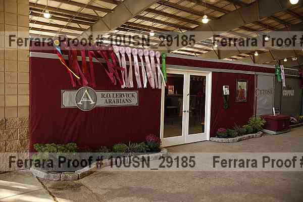 Proof Number 10usn_29185
