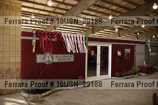 Proof Number 10usn_29188