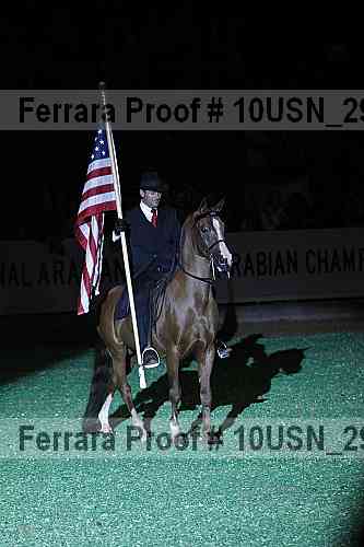 Proof Number 10usn_29678