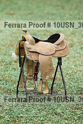 Proof Number 10usn_30219