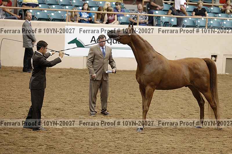 Proof Number 10yn-20027