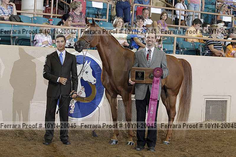 Proof Number 10yn-20045