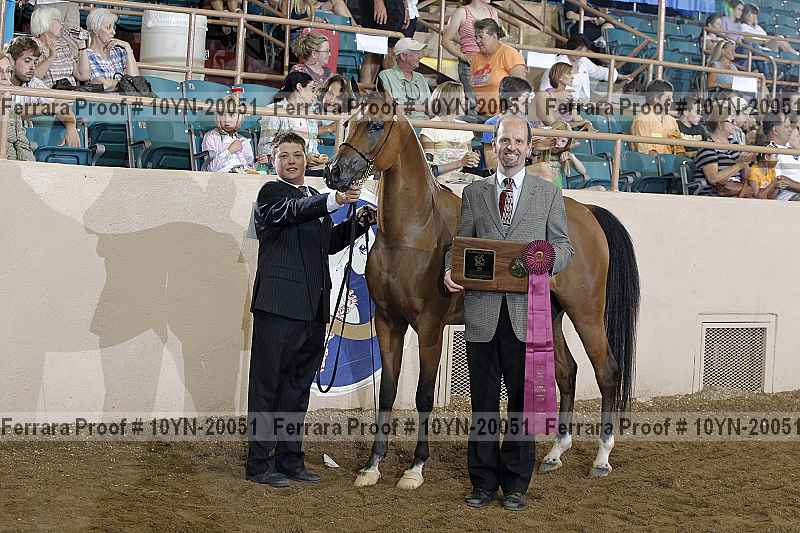 Proof Number 10yn-20051