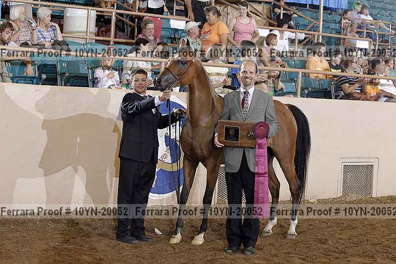 Proof Number 10yn-20052