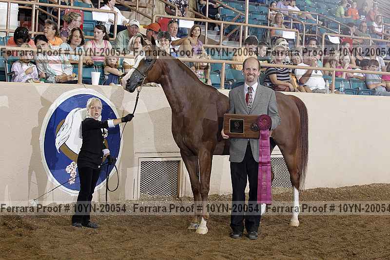 Proof Number 10yn-20054