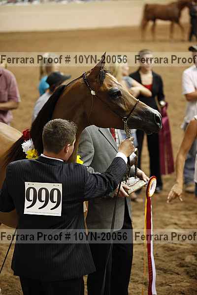 Proof Number 10yn-20056