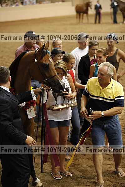 Proof Number 10yn-20063