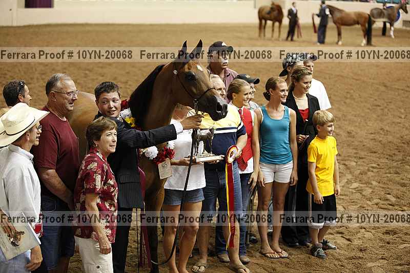 Proof Number 10yn-20068