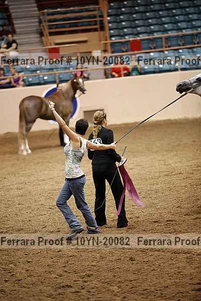 Proof Number 10yn-20082