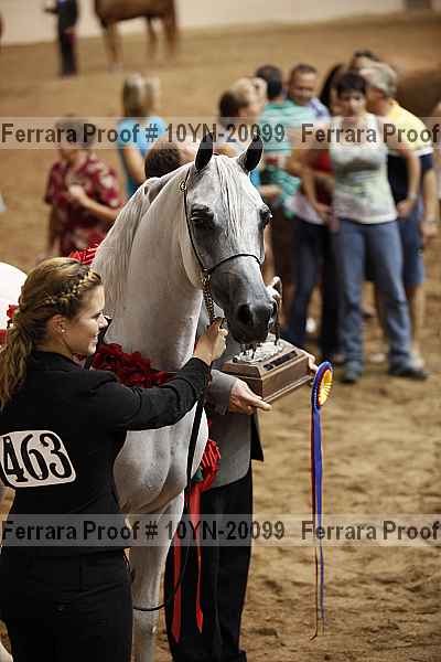 Proof Number 10yn-20099