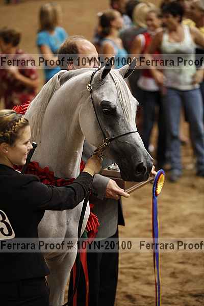 Proof Number 10yn-20100