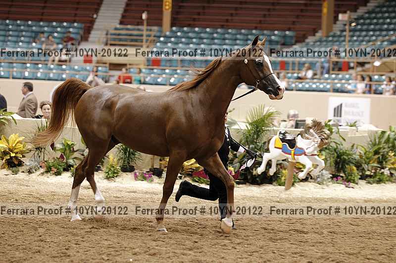 Proof Number 10yn-20122