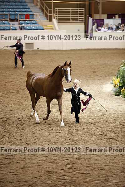 Proof Number 10yn-20123