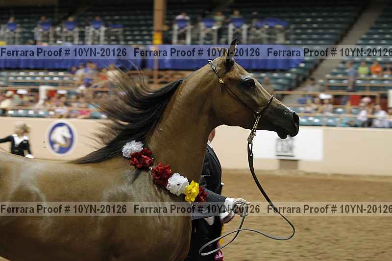 Proof Number 10yn-20126