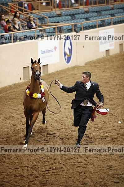 Proof Number 10yn-20127