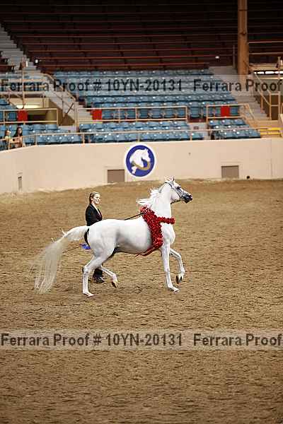 Proof Number 10yn-20131