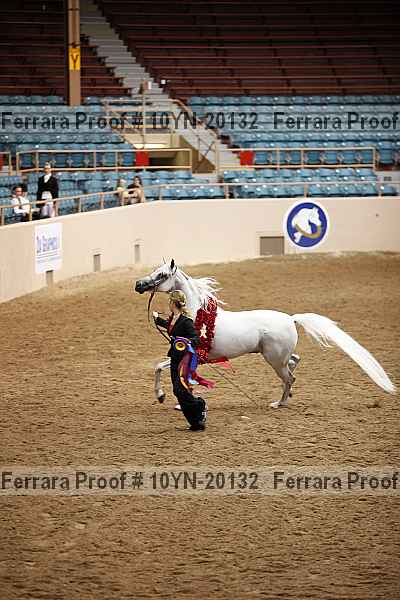 Proof Number 10yn-20132