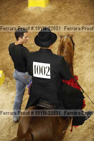 Proof Number 10yn-22031